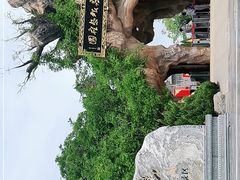 -大槐树寻根祭祖园