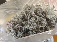 -红嫂家乡旅游区