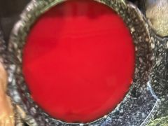 雾都鲜鸭血-新哥老官·畅吃123·美蛙世界(苏宁广场店)