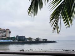 -万绿园