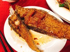 -蛇口康乐快餐鱼仔档(翠苑小区店)