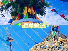 -桔子文创·企业团建·活动策划·拓展会议