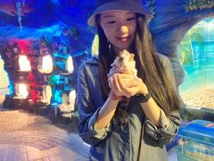 -上海大自然野生昆虫馆(东方明珠·爬宠昆虫探索中心)