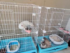 -翊宠yipet猫狗购宠庄园犬舍•猫舍