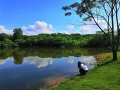 -盘龙城国家考古遗址公园