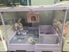 -保定市花鸟鱼虫市场