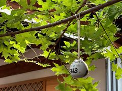 -VOYAGE COFFEE(杨梅竹店)