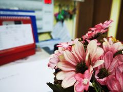 -重庆医科大学附属第一医院(本部)