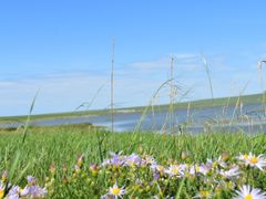 -呼和诺尔旅游景区