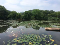 -白马涧龙池景区