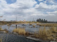 -永定河休闲森林公园