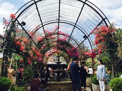 -The Grounds of Alexandria