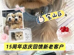 -翊宠yipet猫狗购宠庄园犬舍•猫舍