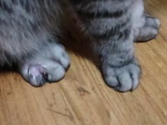 -爱侣宠医·鹦鹉专科·小型哺乳类·异宠专科(灵石路店)