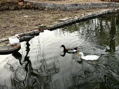 -三里河公园