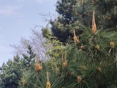 -唐山抗震纪念碑广场