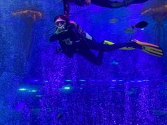 -沈阳海洋探索中心