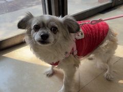 -宠颐生汉谟拉比宠物医院