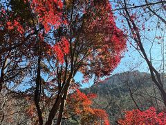 -崂山巨峰游览区