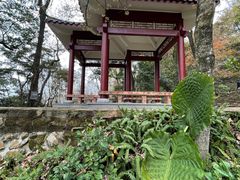 -广州市石门国家森林公园