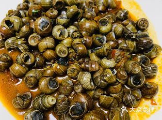 田子食谱之夏季下酒美食炒田螺