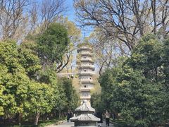 -灵谷景区