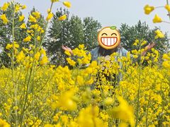 -汉长安城未央宫国家考古遗址公园