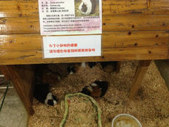 9.2-上海大自然野生昆虫馆
