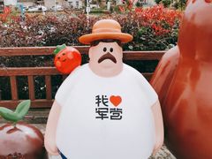 -军营村