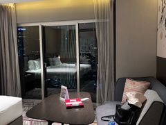 -新加坡瑞士史丹福酒店