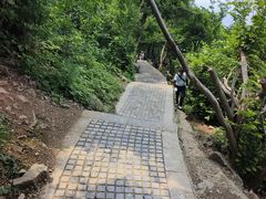 -紫金山山顶公园