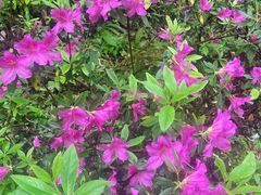 -西岭雪山大飞水景区