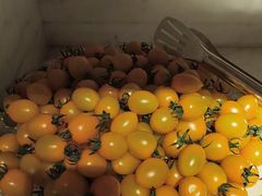 -浅深(北京北四环精品店)