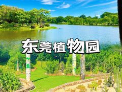 -东莞植物园