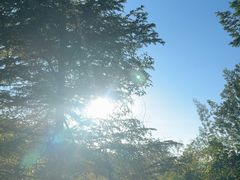 -长虫山生态公园风景林