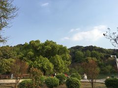 -团城山公园