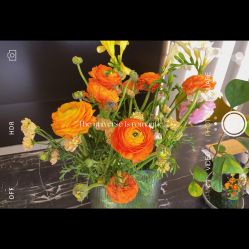 -EMU艺慕摄影(扬中店)