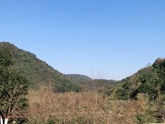 -桃花岭景区