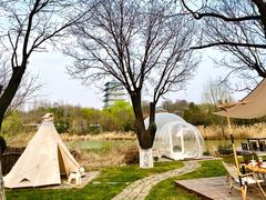 -Supine Bistro溯泮餐厅