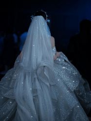 -艾米丽婚纱礼服