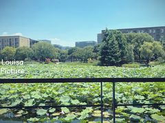-3W咖啡(国家软件园店)