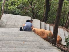 -福神岗公园