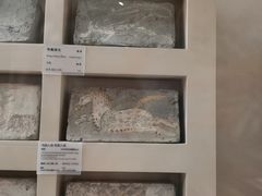 -敦煌市博物馆