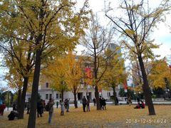 -威斯汀舞台餐厅