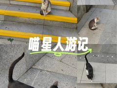 -海珠湖公园