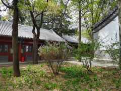 -北京鹫峰国家森林公园