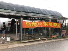 -马陆小张葡萄园农家乐