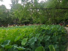 -四川大学(华西校区)