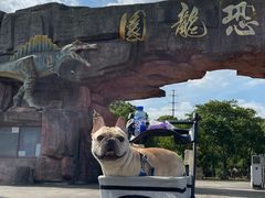 -上海海湾国家森林公园