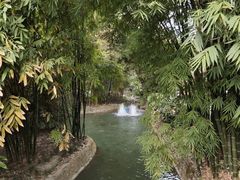 -望江楼公园
